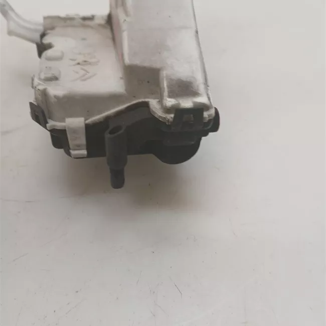 Serratura porta posteriore sinistra