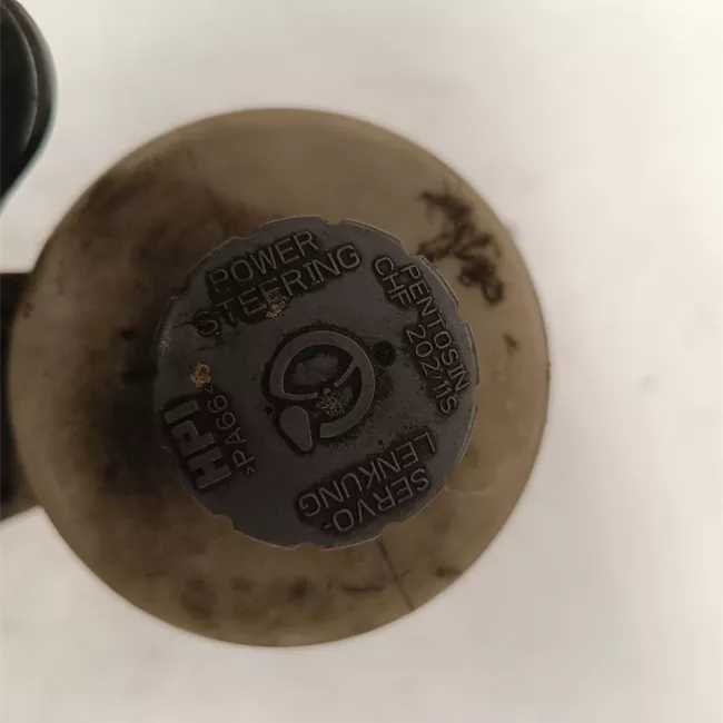 Pompa servosterzo elettroidraulico VW-BS/SMI