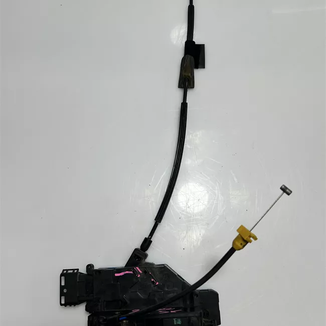 Serratura porta posteriore sinistra con chiusura singola