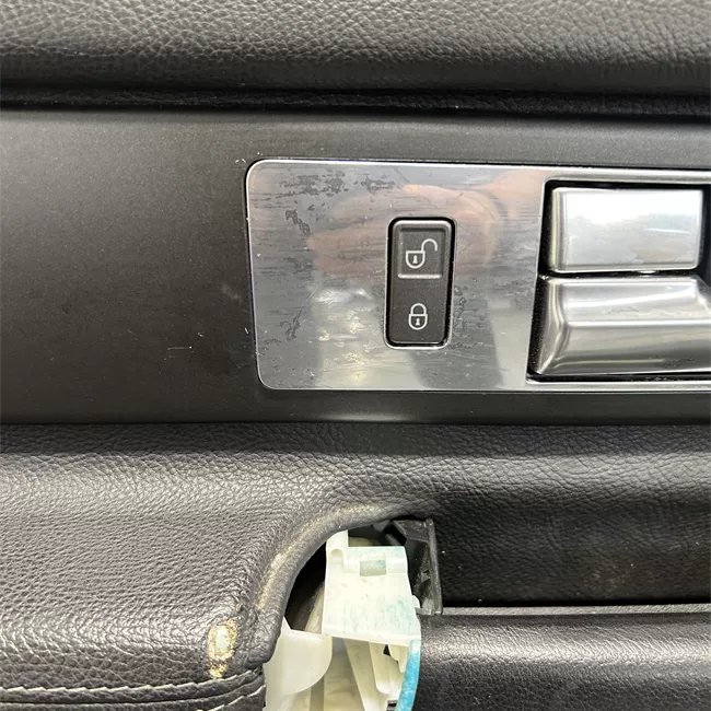 Pannello interno porta anteriore sinistro