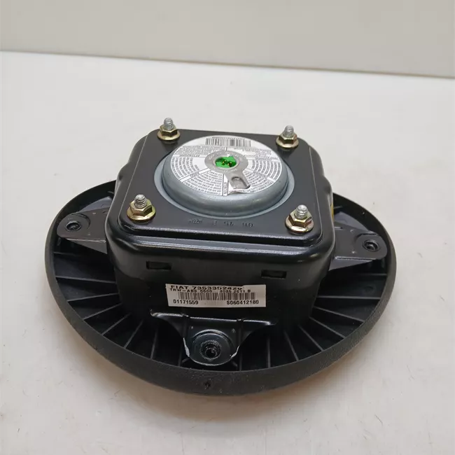 Dispositivo airbag lato guida