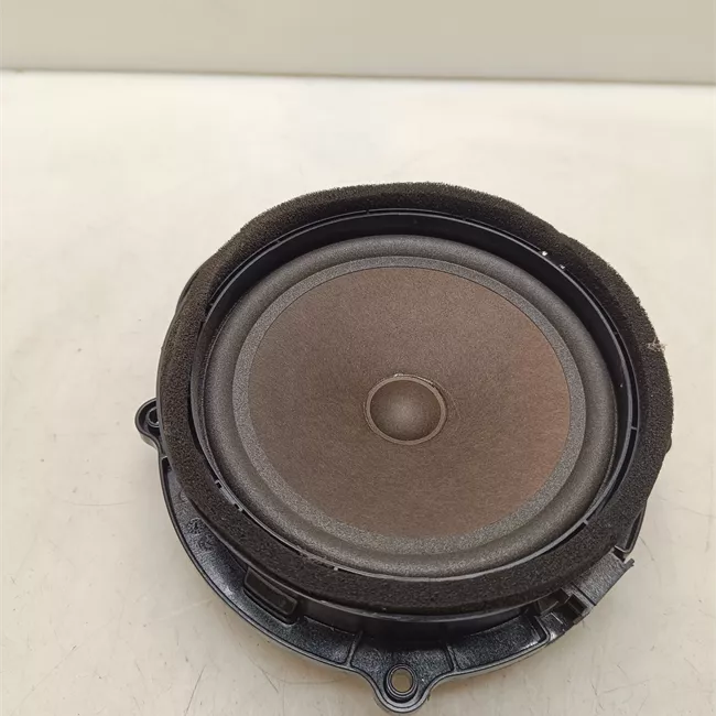 Altoparlante porta anteriore sinistro Toni medi, sistema Audio Premium