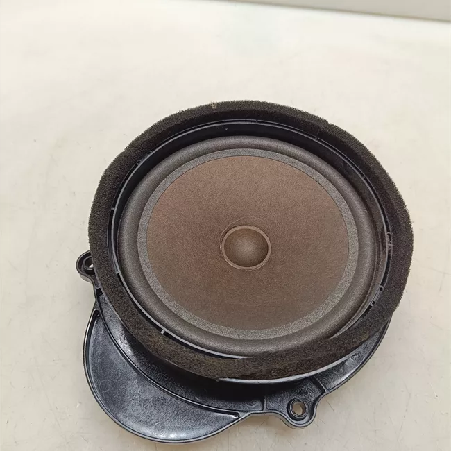 Altoparlante porta anteriore sinistro Toni medi, sistema Audio Premium