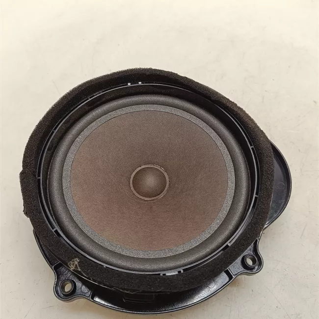 Altoparlante porta anteriore sinistro Toni medi, sistema Audio Premium