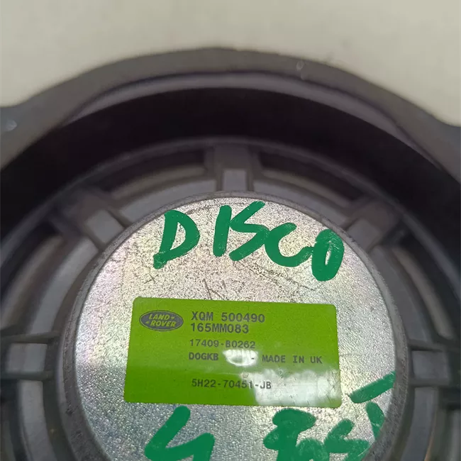 Altoparlante porta posteriore sinistro Bassi, sistema Audio 600W & 1280W