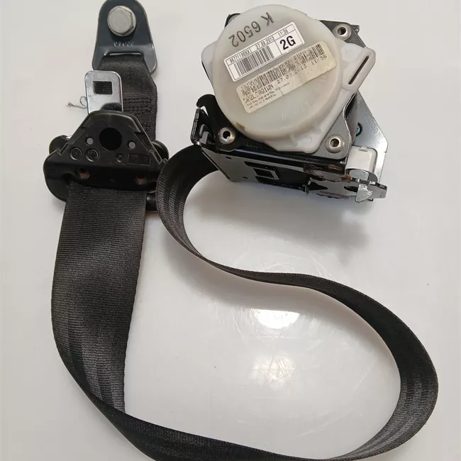 Cintura di sicurezza posteriore sinistra