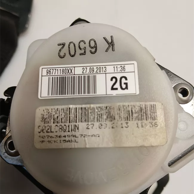 Cintura di sicurezza posteriore sinistra