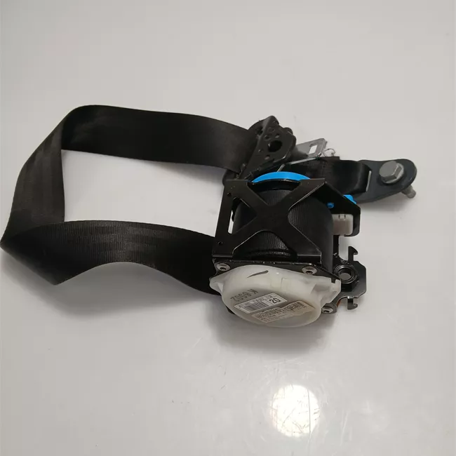 Cintura di sicurezza posteriore sinistra