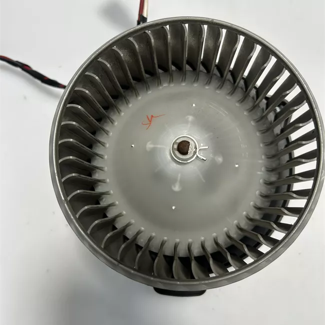 Motorino ventilazione abitacolo