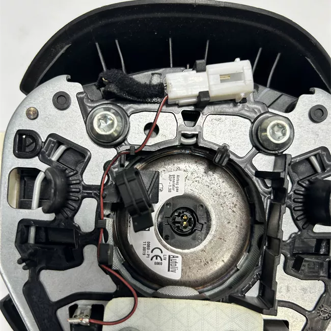 Dispositivo airbag lato guida