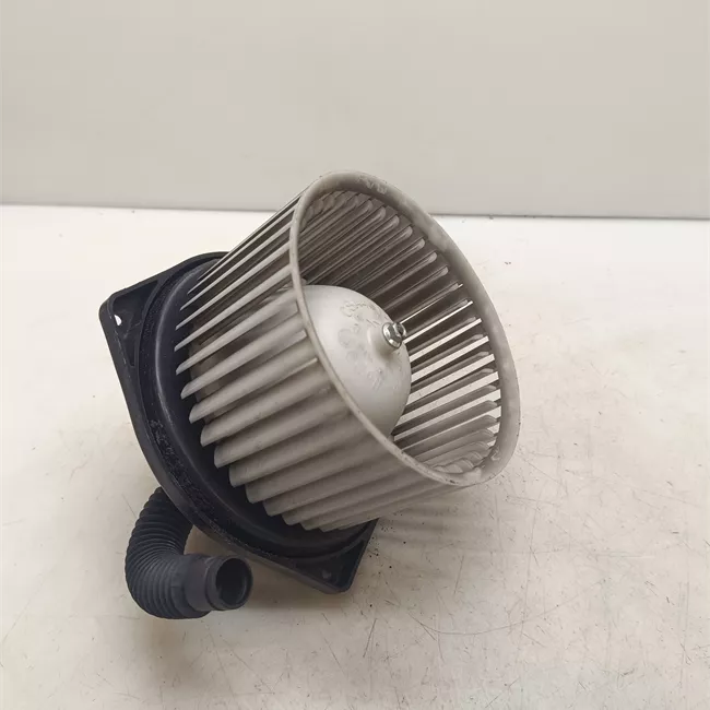 Motorino ventilazione abitacolo