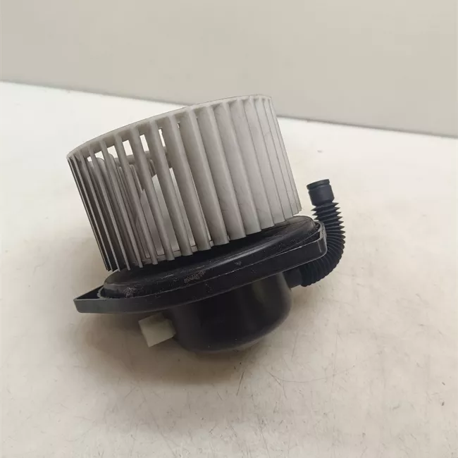 Motorino ventilazione abitacolo