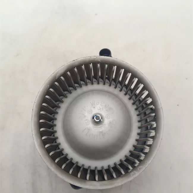 Motorino ventilazione abitacolo