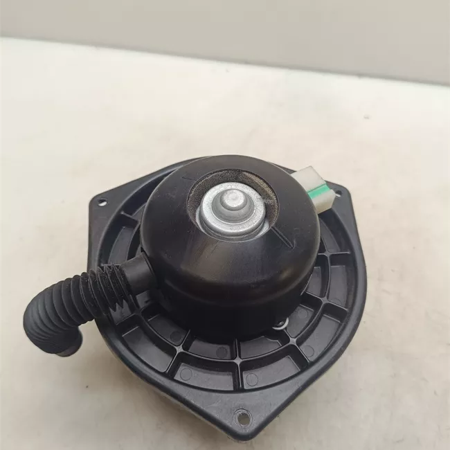 Motorino ventilazione abitacolo