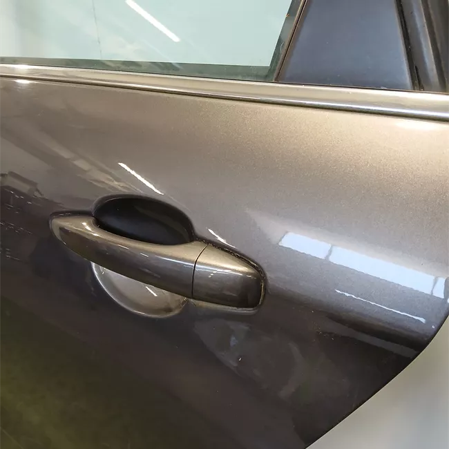 Porta posteriore sinistra