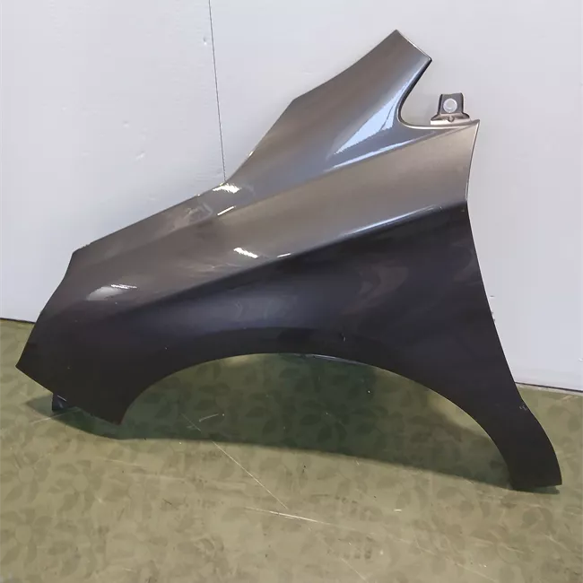 Parafango anteriore sinistro