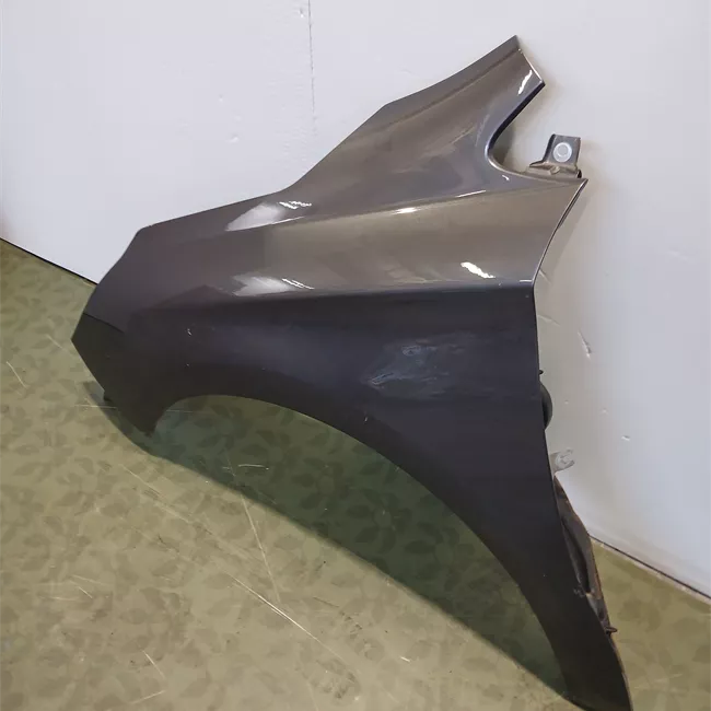 Parafango anteriore sinistro