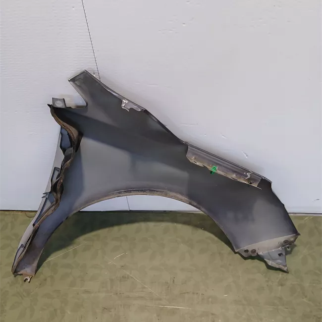 Parafango anteriore sinistro