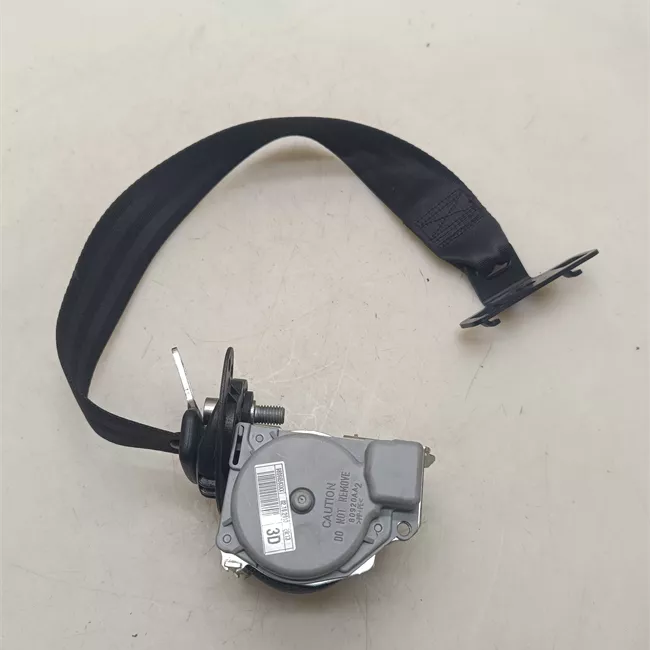 Cintura di sicurezza posteriore destra