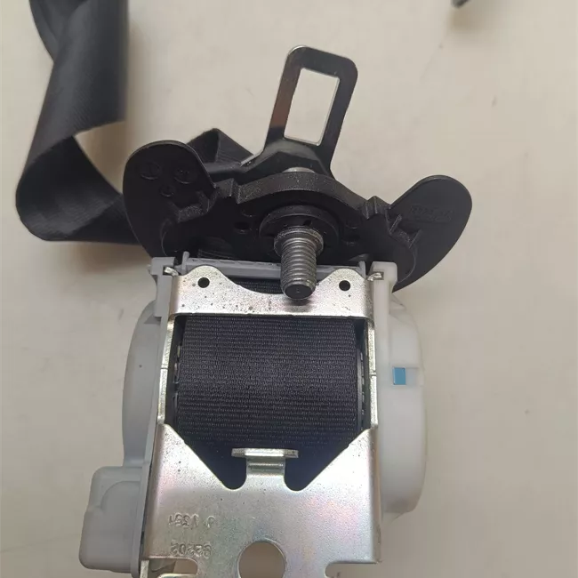 Cintura di sicurezza posteriore destra