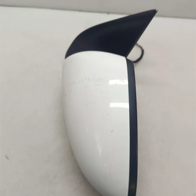 Retrovisore esterno regolazione elettrica sinistro Ripieghevole Acenta, Tekna