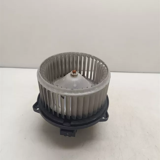 Motorino ventilazione abitacolo