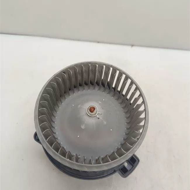 Motorino ventilazione abitacolo