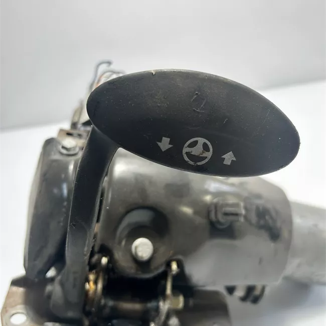 Servosterzo elettronico