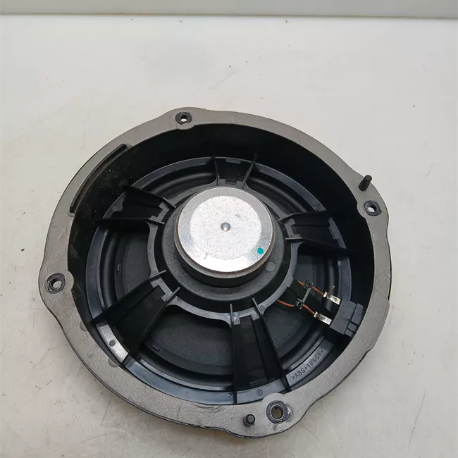 Altoparlante porta anteriore destro