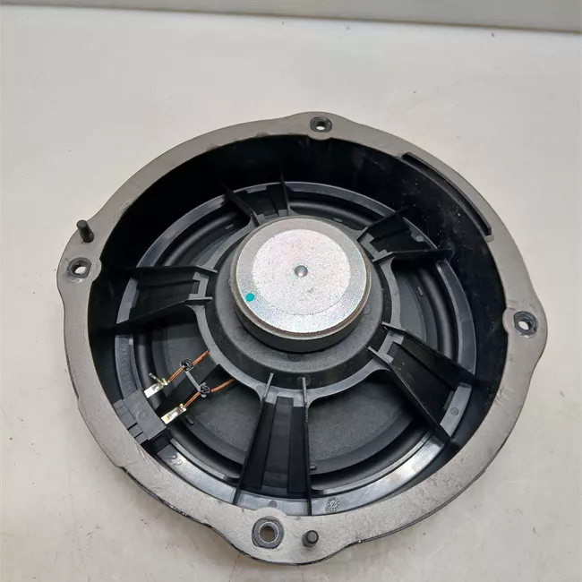 Altoparlante porta anteriore destro