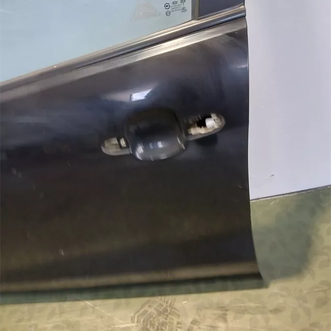 Porta anteriore sinistra