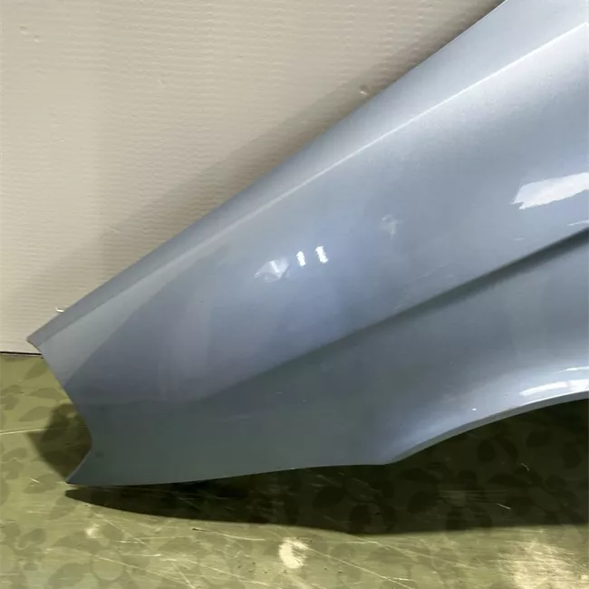 Parafango anteriore sinistro primer