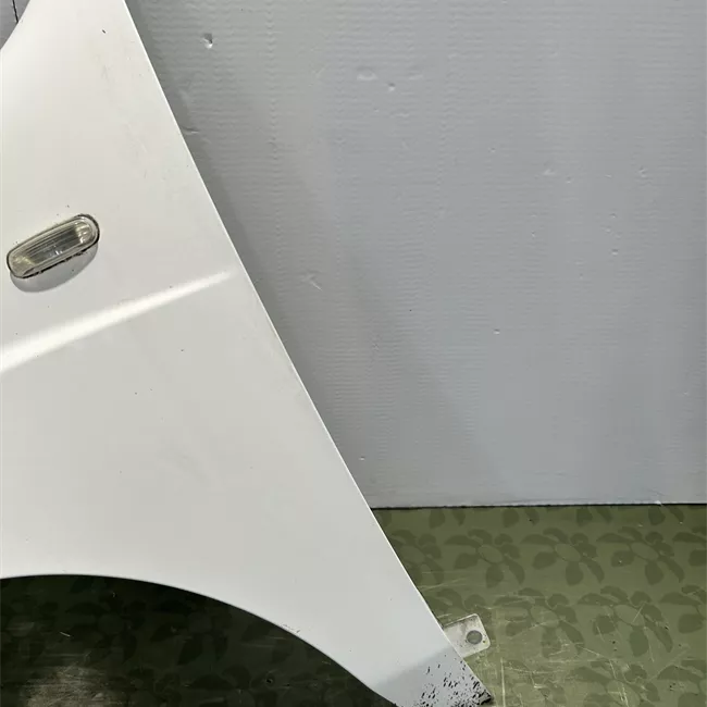 Parafango anteriore sinistro