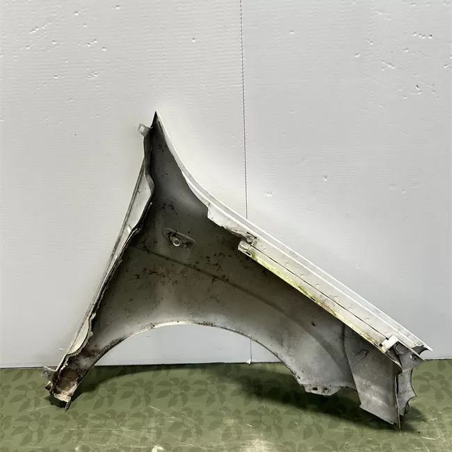 Parafango anteriore sinistro