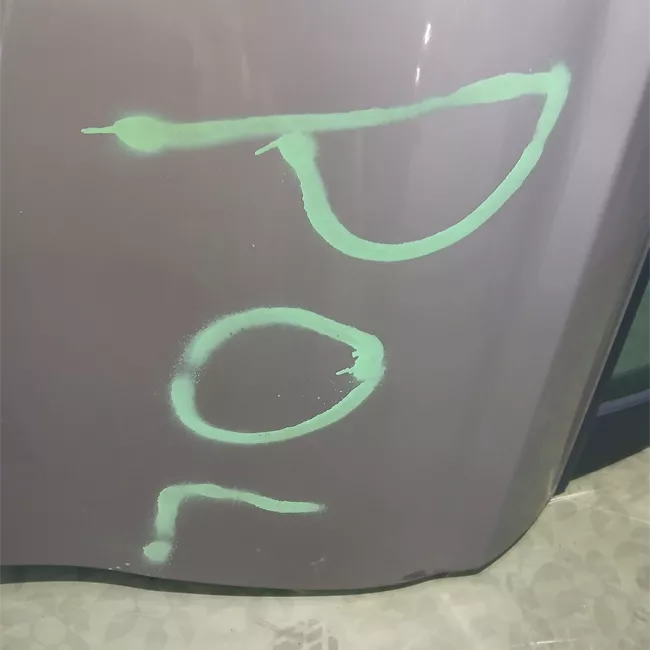 Porta posteriore destra