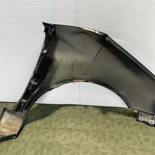 Parafango anteriore sinistro con fascioni
