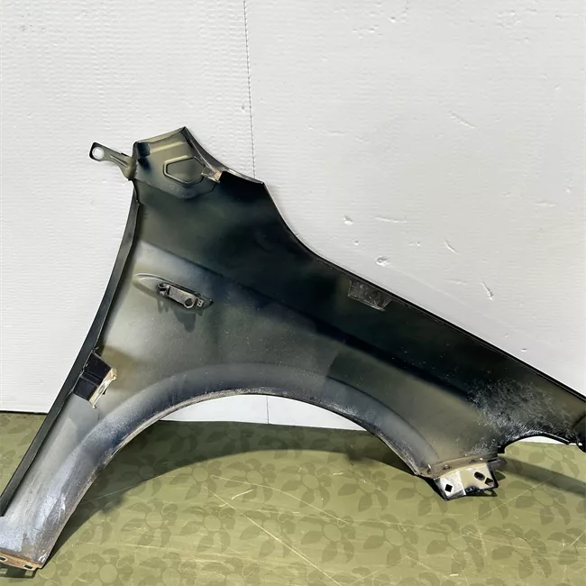 Parafango anteriore sinistro