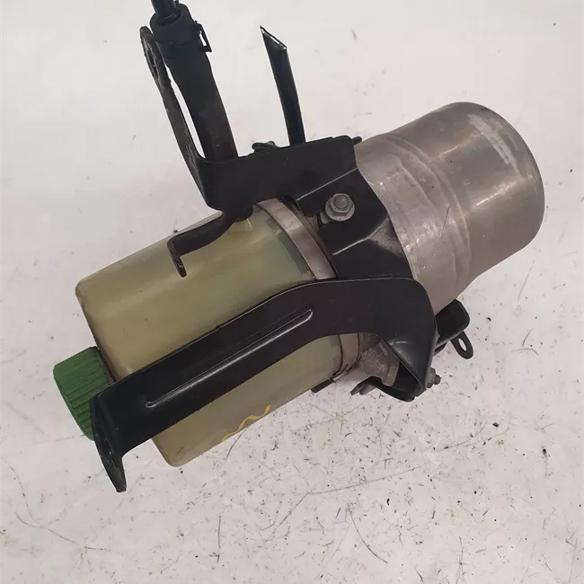 Pompa servosterzo con elettromotore