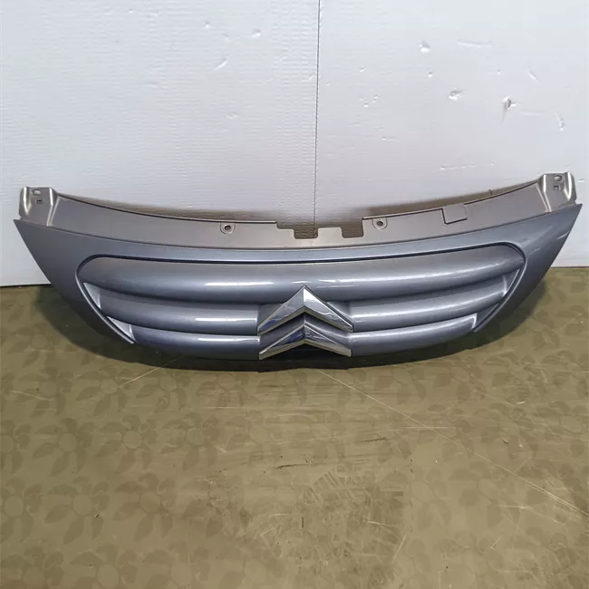 Griglia con stemma Verniciato