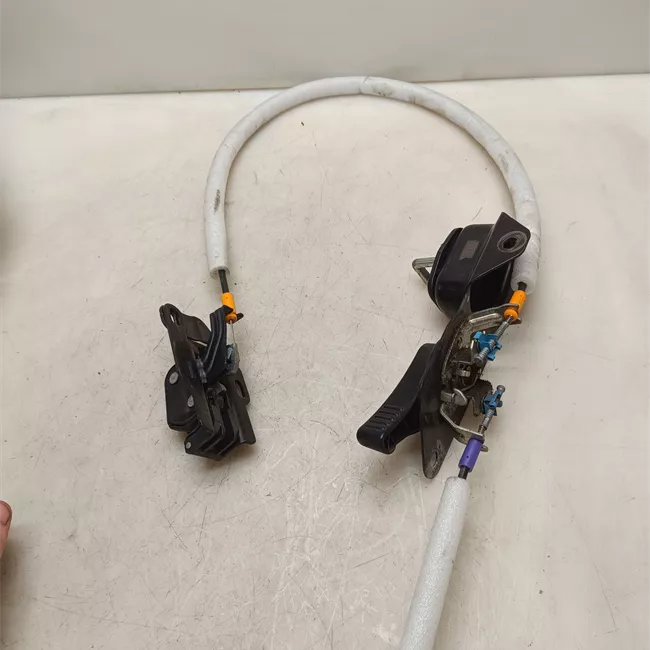 Serratura porta carico posteriore a battente sinistra