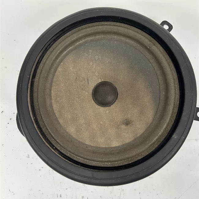 Altoparlante porta anteriore sinistro