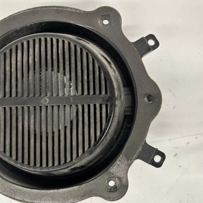 Altoparlante porta anteriore sinistro