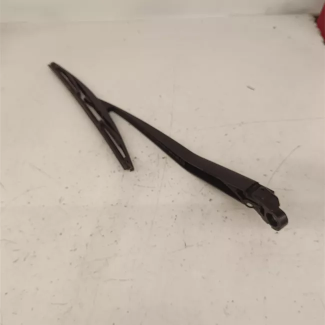 Spazzola tergilunotto