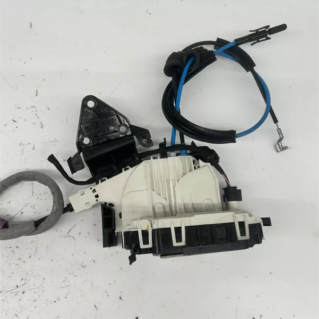 Serratura porta posteriore sinistra