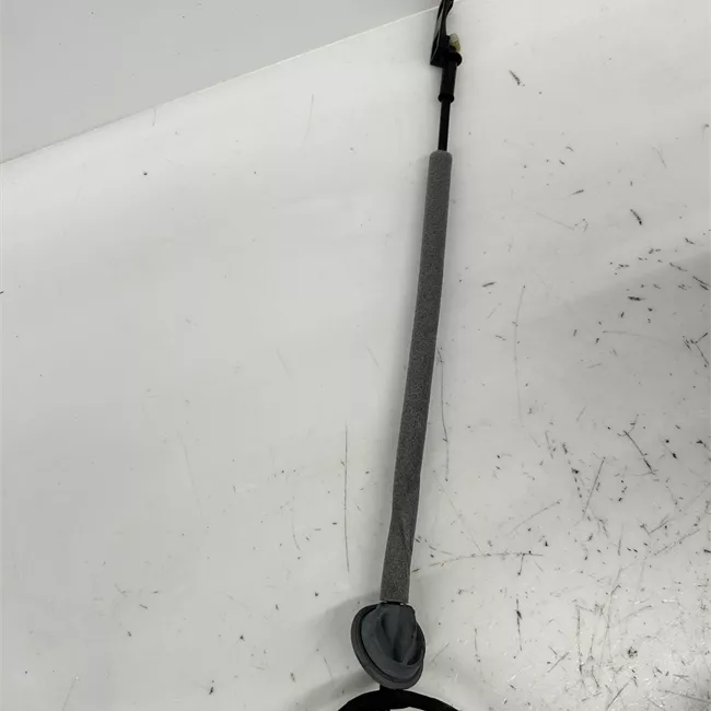 Serratura porta posteriore sinistra