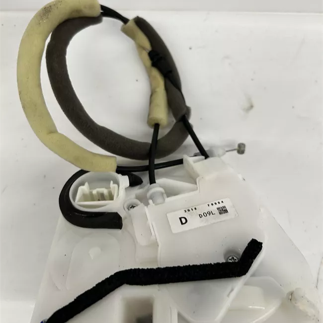 Serratura porta posteriore sinistra