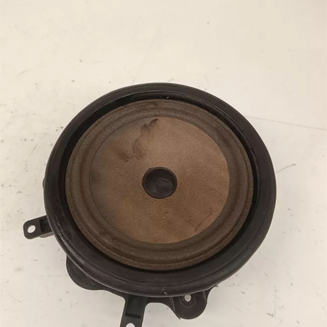 Altoparlante porta posteriore destro con sistema Bose