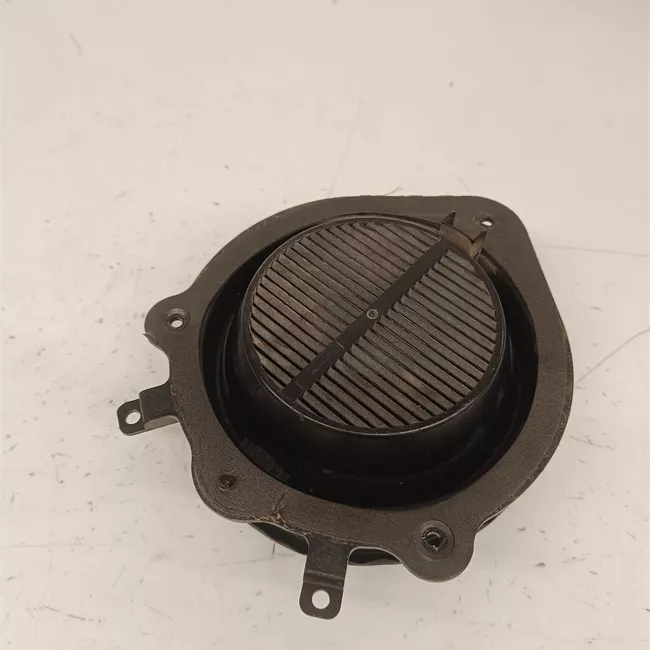 Altoparlante porta posteriore destro con sistema Bose