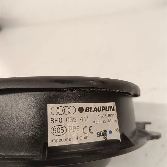 Altoparlante porta posteriore destro con sistema Bose