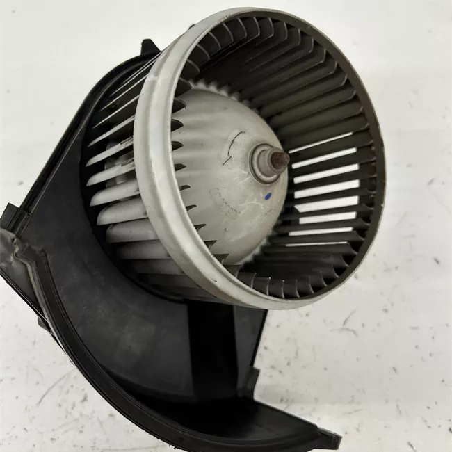 Motorino ventilazione abitacolo
